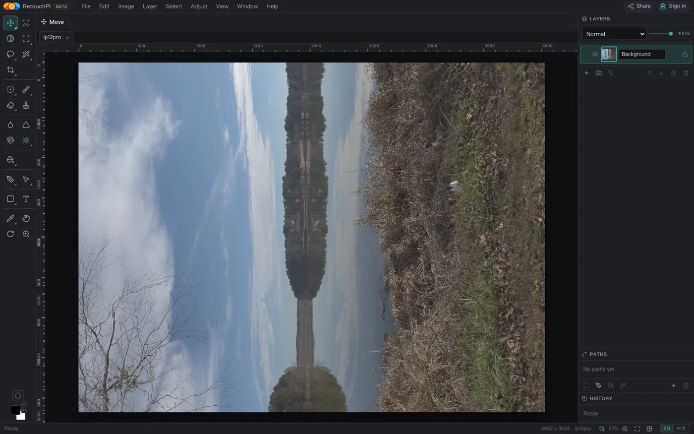 A DNG the editor developed itself, on the canvas at 4032 x 3024
